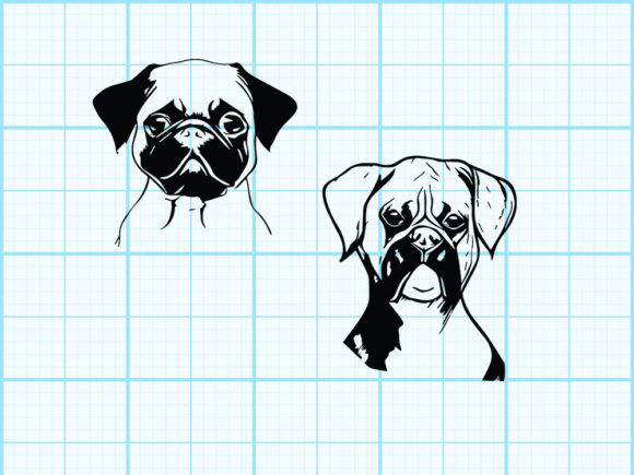 Boxer Dog Collection