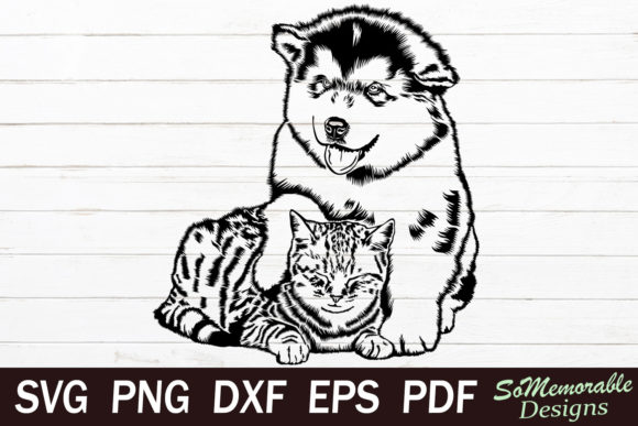 Dog and Cat