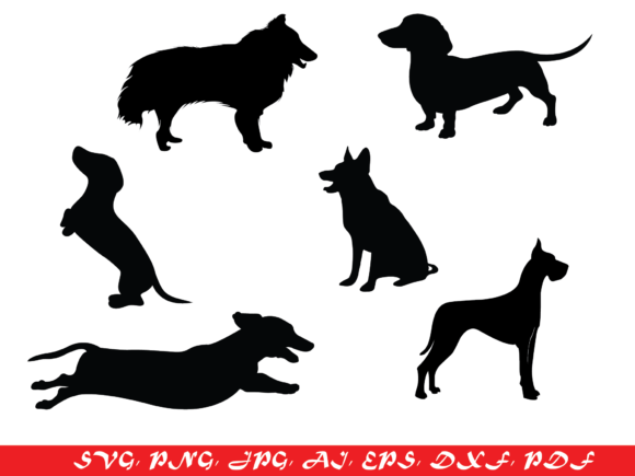 Dog Lover